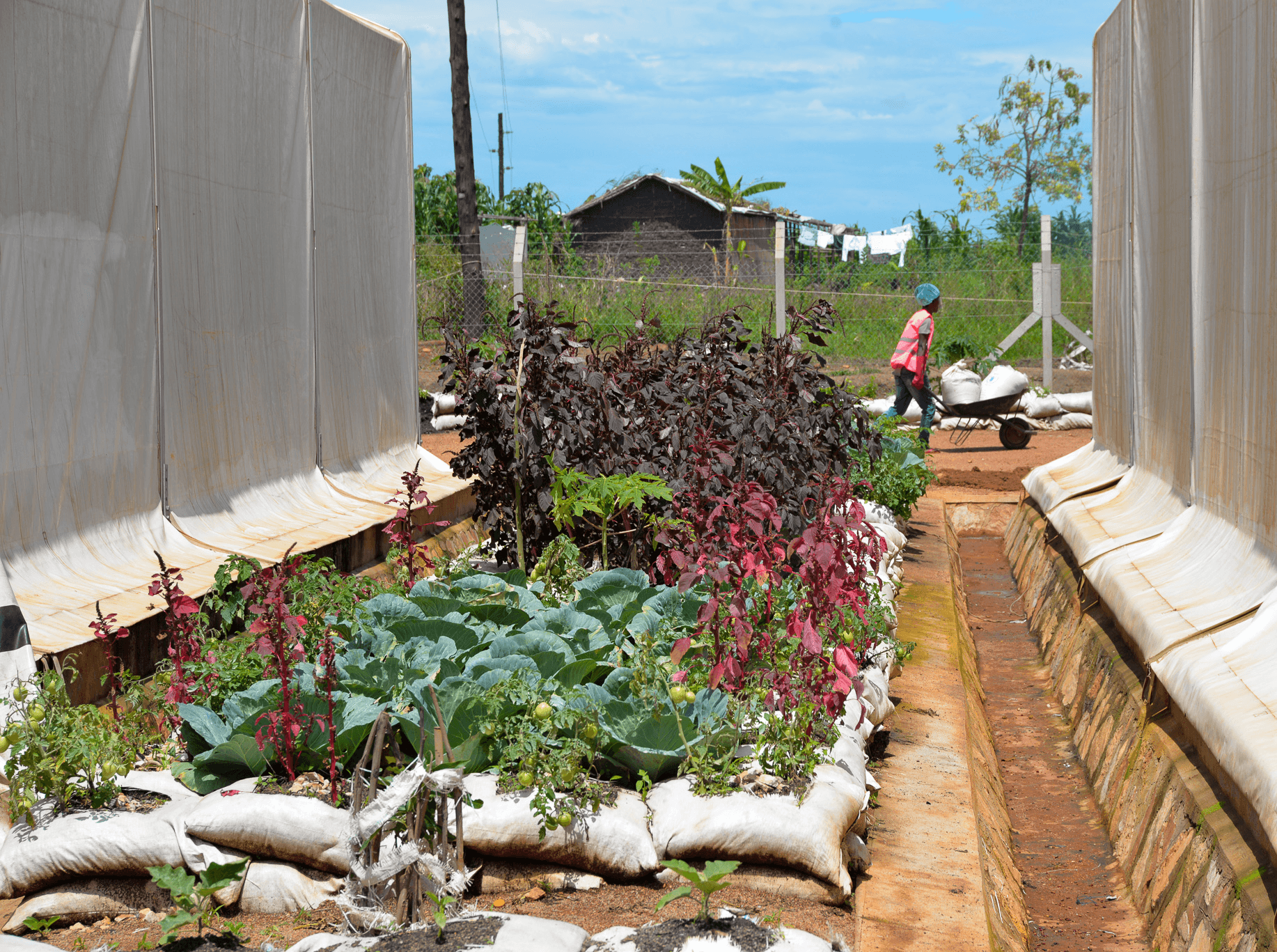 Working together to end hunger and ensure food security for every family.